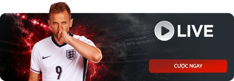 live Sportbook