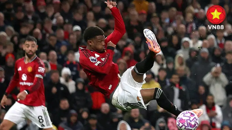 Kinh nghiệm chơi kèo rung hiệu quả từ chuyên gia